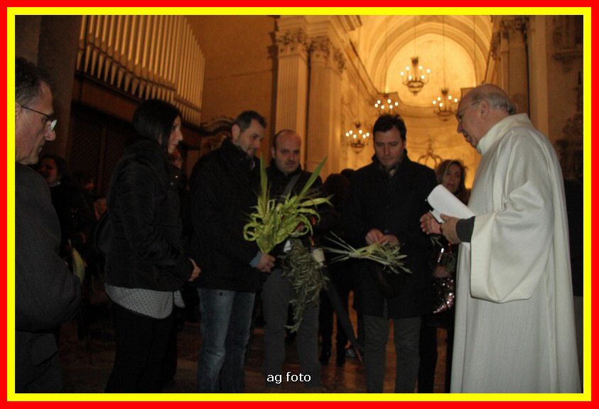 180325 Palme 105_tn.jpg